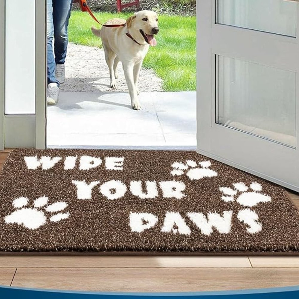 Pretty dog Paw x Paw carpet